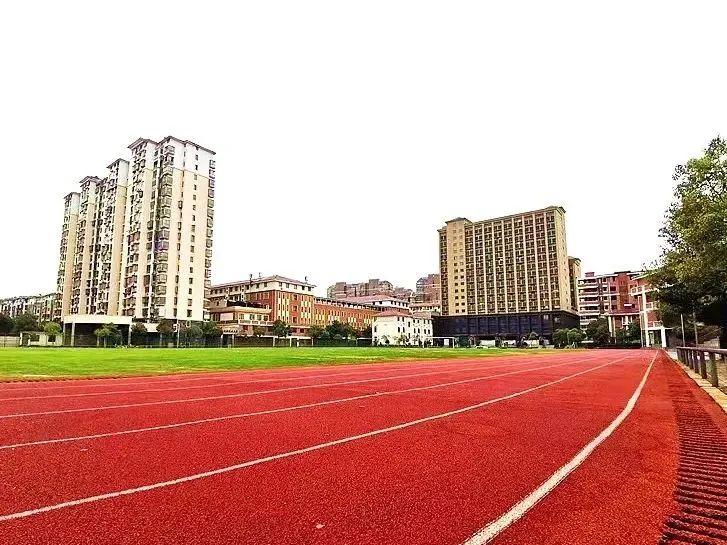 1693295288129925.jpg 640 (3).jpg